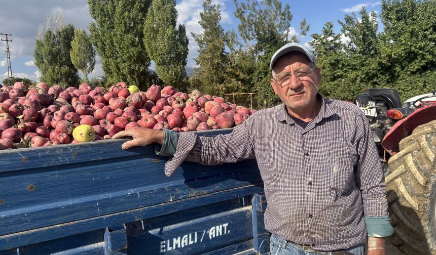 Elmalı'da elma üreticisi zor durumda