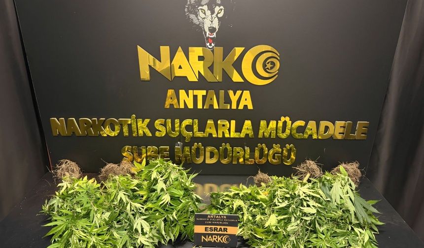 Antalya'da 1 haftada 32 narkotik operasyonu