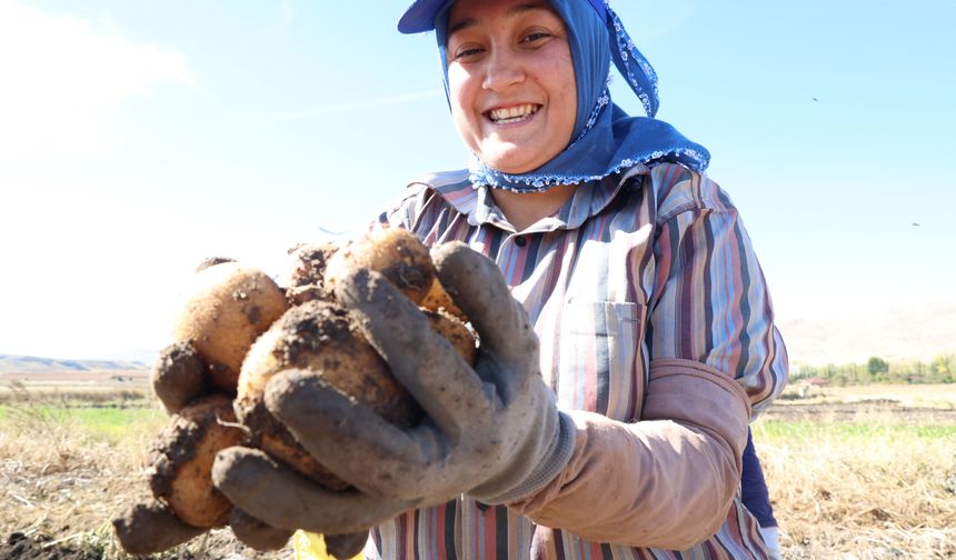 Korkuteli'de hasat zamanı