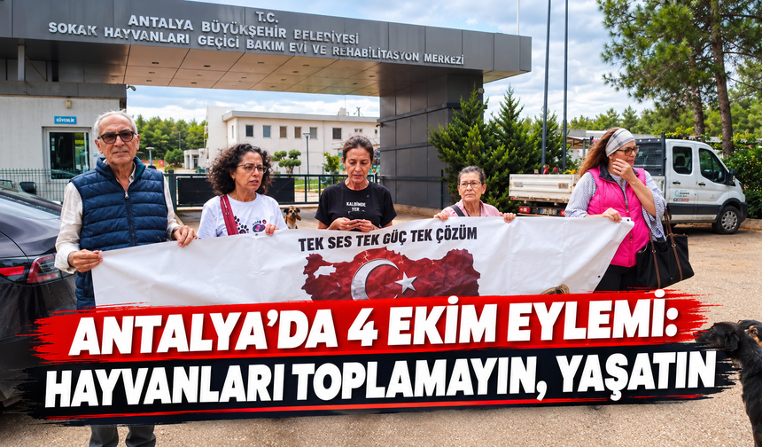 Antalya’da 4 Ekim eylemi: Hayvanları toplamayın, yaşatın