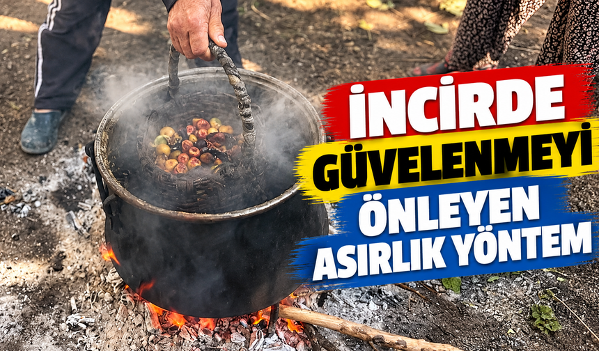 İncirde güvelenmeyi önleyen asırlık yöntem
