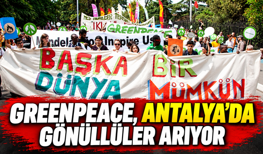 Greenpeace, Antalya’da gönüllüler arıyor