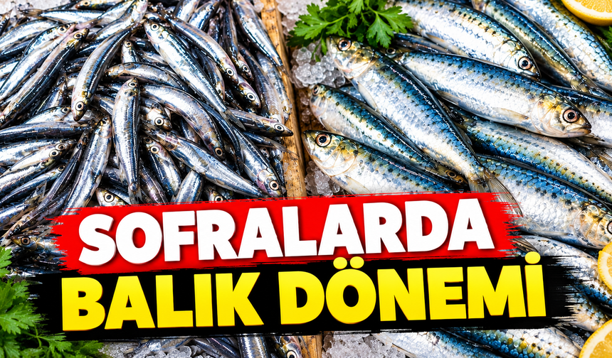 Sofralarda balık dönemi