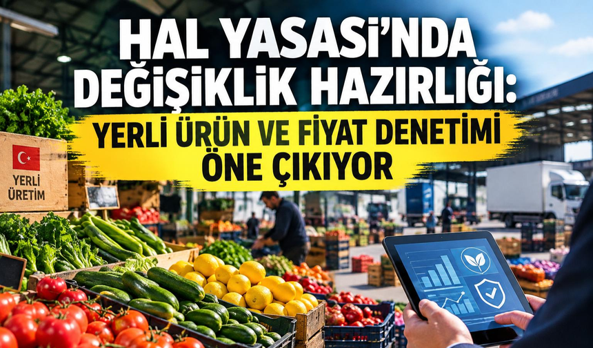 Hal yasasında değişiklik hazırlığı